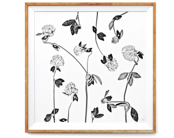 Trifolium Pratense - Printable Plant Photo, Monochrome Clover Art, Pink and Green, Black, White, Instant Botanical Art - 30x30" - Set of 3
