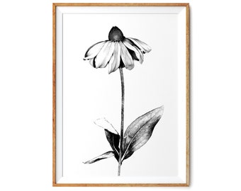 Echinacea Paradoxa - Printable Floral Art Set - Vertical Flower Photo -   Black and White & Yellow and Pink - 24x36"