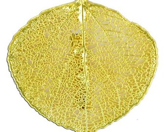 ASPEN LEAF