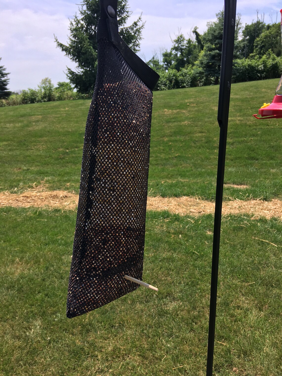 Thistle Seed Sock Bird Feeder Bird Feeder Sack o' Seeds Etsy