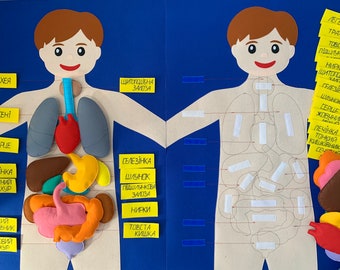 Human felt body playmat big board anatomy materials Science development board Doctor play set organ Body felt Set Go to school Burdock