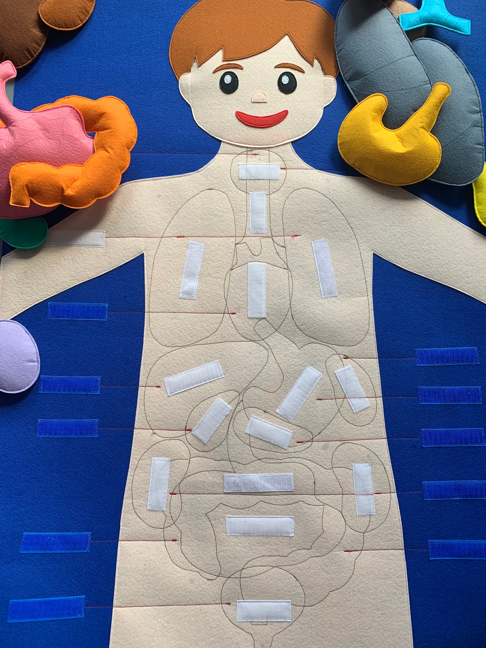 Felt Body Board Anatomy Materials Science Playmate Doctor Play Etsy