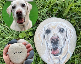 Portrait pet painting on stone from photo Personalized picture on rock Custom color acrylic stone paint Painted pets acrylic rock