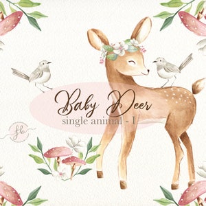 Baby Deer Watercolor Clipart, Woodland Nursery, Floral Crown, Nursery Decor, Floral Clipart, Printable Wall Art, Woodland Baby Shower