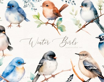 Winter Birds Watercolor Clipart Set