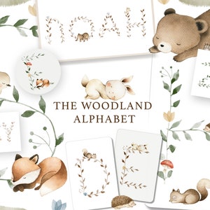 The Woodland Alphabet Watercolor Set