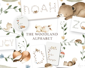 The Woodland Alphabet Watercolor Set