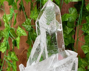 1.26 lb Clear Lemurian Quartz Crystal Points Cluster. You get this piece!