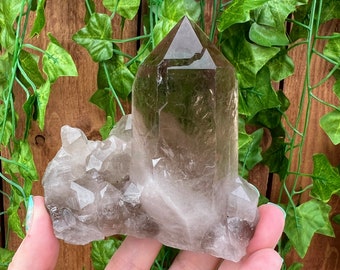 10.85 oz Smoky Quartz Crystal Points Cluster. You get this piece!