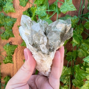 9 oz. Clear Quartz Crystal Cluster with Chlorite. Garden Quartz. You get this piece!