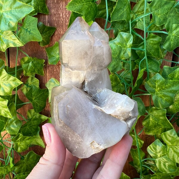 11.3 oz. Large Smoky Quartz Crystal Scepter from Petersen Mountain Nevada - Hallelujah Junction. You get this piece!