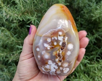 1.52 Lb Polished Flower Agate Free Form from Madagascar. You get this piece!