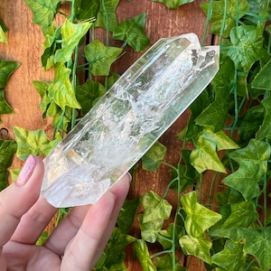May include: A large, clear quartz crystal with a double termination. The crystal is smooth and polished, with a slight cloudy appearance. It is held in a hand against a background of green leaves.