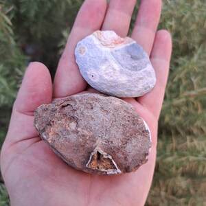 2.9 Oz. Geode Cut in Half. Geode Pair. Polished Geode With - Etsy