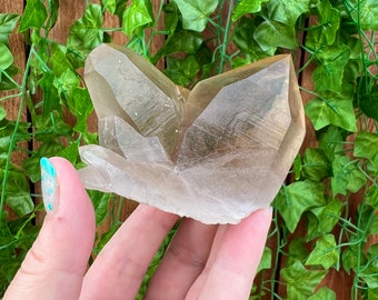 5.51 oz Twin Smoky Quartz Crystal Points Cluster from Brazil. Golden Healer. You get this piece!