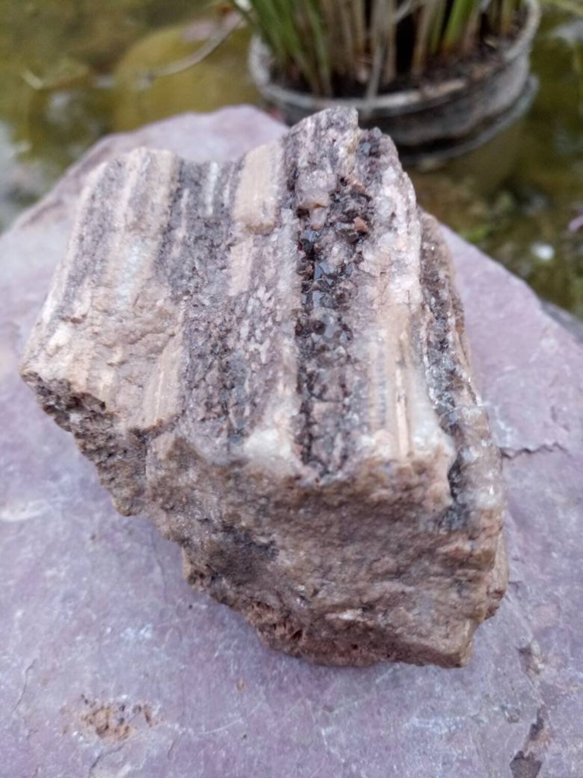Crystallized Petrified Wood With Drusy Smoky Quartz Points. Etsy