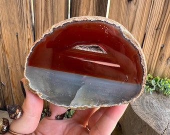 Large Brazilian Agate Nodule, Banded Agate, Polished Agate, Polished Geode, 1.29 Lbs - You get this piece!