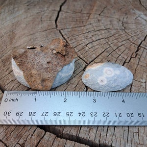 2.9 Oz. Geode Cut in Half. Geode Pair. Polished Geode With - Etsy