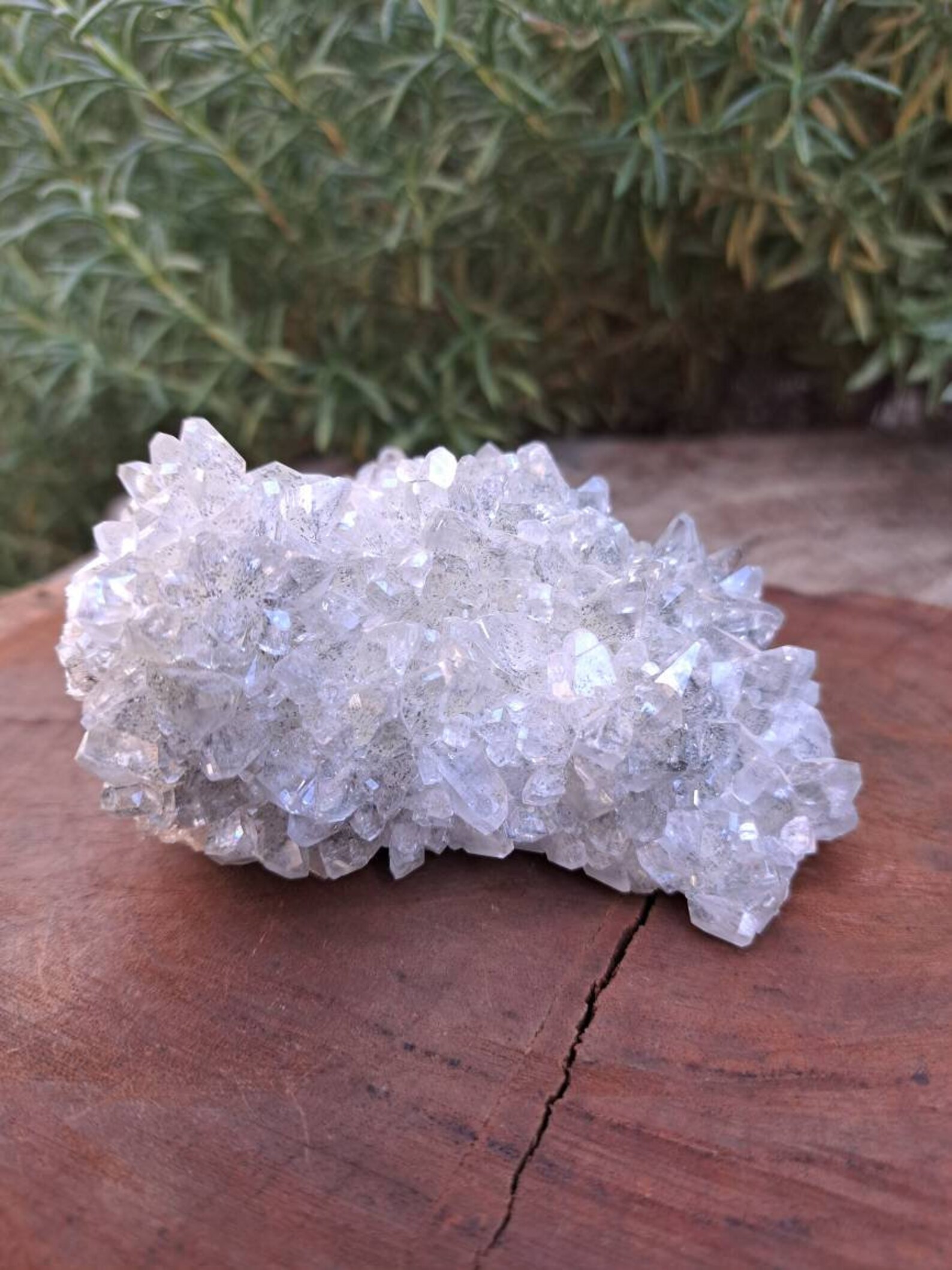 12.7 Oz Dog Tooth Calcite Cluster From Linwood Mine in Buffalo Etsy