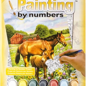 DIY Royal Langnickel Horses in Field Paint by Number Kit
