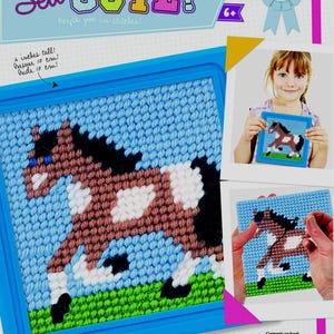 DIY Sew Cute Horse Pony Kids Beginner Needlepoint Kit with Frame 6"x6"