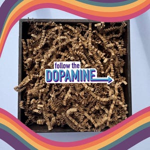 Follow The Dopamine Sticker: ADHD Mental Health Humor immagine 7