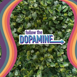 Follow The Dopamine Sticker: ADHD Mental Health Humor immagine 8