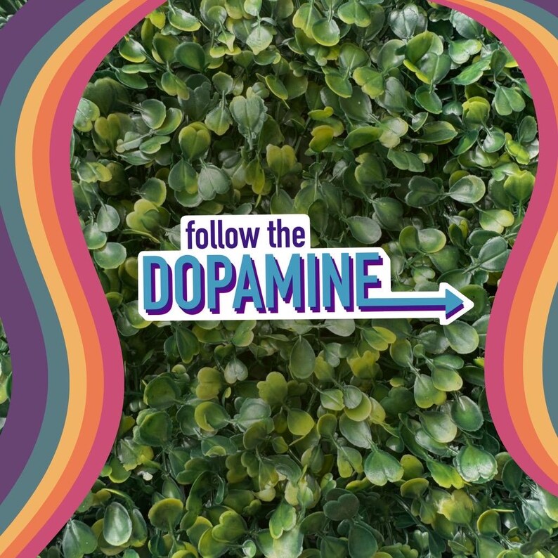 Follow The Dopamine Sticker: ADHD Mental Health Humor immagine 8