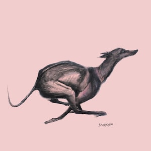 Impresión artística de galgo negro corriendo, regalo del Día del Padre de Galgo Español, arte de pared contemporáneo rosa, regalo de cumpleaños de Whippet para ella