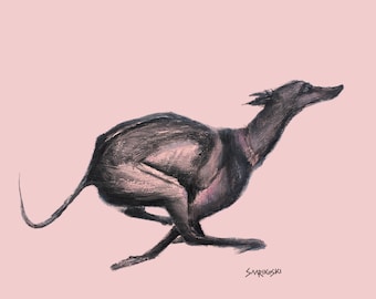 Black Greyhound Running Art: Whippet, Galgo Espanol Giclée Print