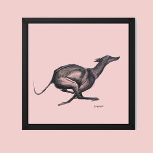May include: A framed art print showing a charcoal drawing of a greyhound dog running. The dog is depicted in motion against a pale pink background. The artwork is signed in the lower right corner and framed in a black frame.