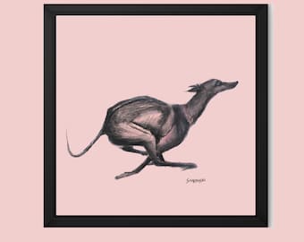Greyhound Canvas Art Print, Black Float Frame, Whippet Gift