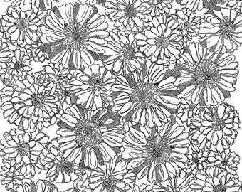 Zinnias