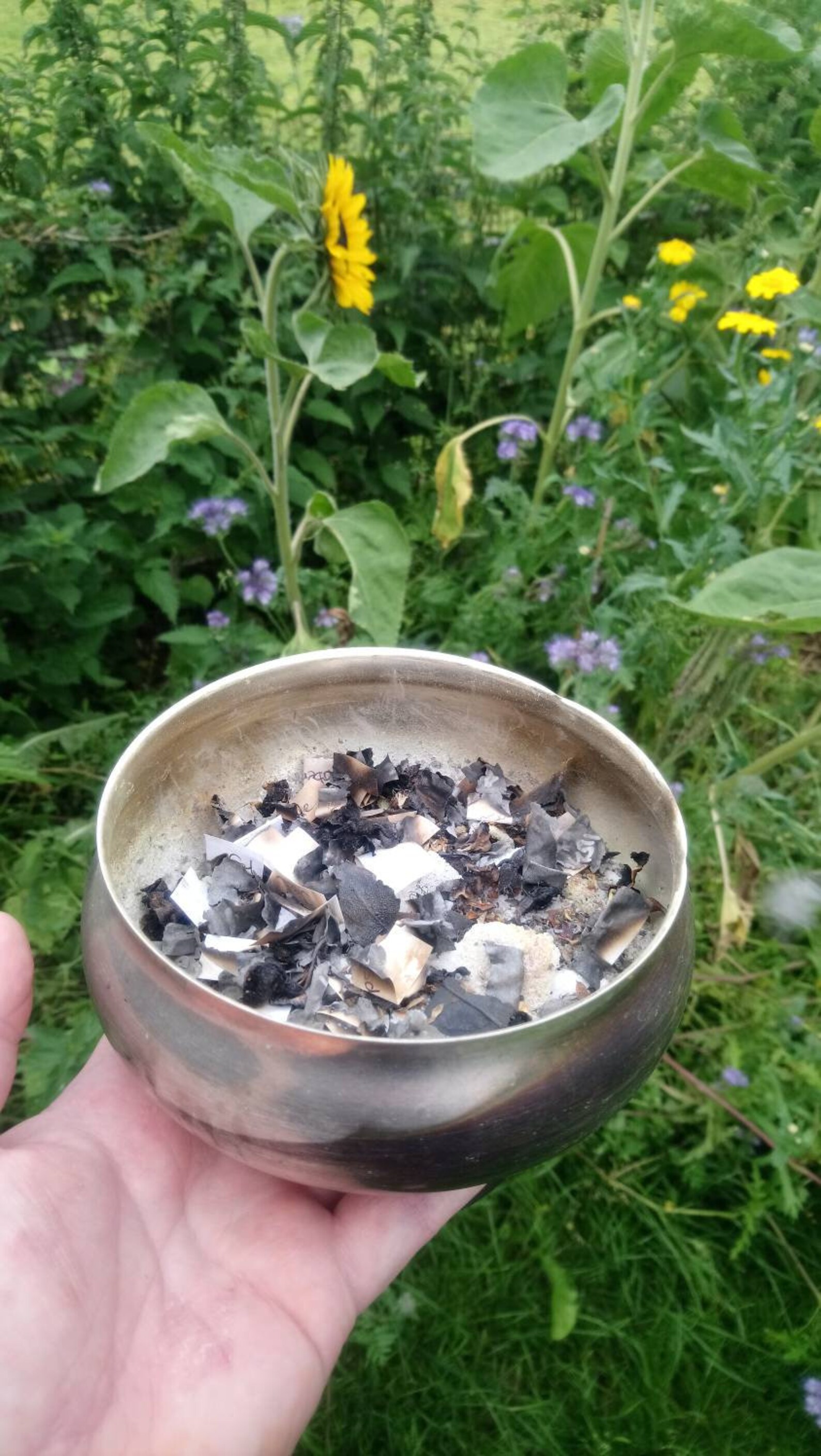 AUGUST full moon blessing ritual full moon spell work Etsy