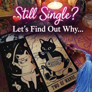 May include: Two tarot cards with cat illustrations are displayed. One card shows a white cat with a sword, the other a black cat eating noodles. The text "Still Single? Let's Find Out Why..." is at the top.