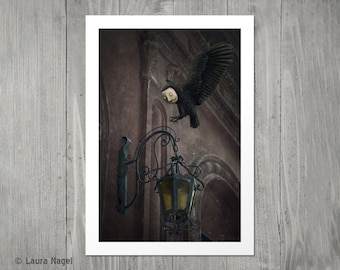 Masked crow surreal art print