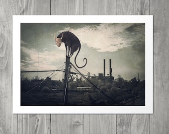 Surreal cat art print