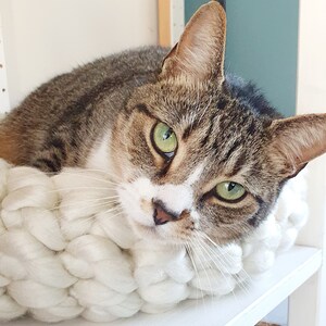 Craft Kit - Crochet Kit -  Cat Bed - Giant Yarn Standard Size