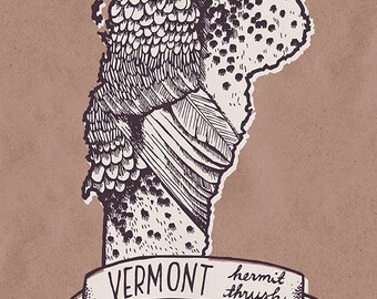 Vermont State Bird Print- Hermit Thrush, 8x10 inches.