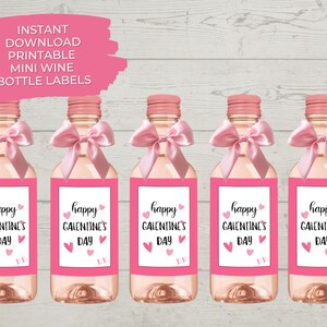 Printable Galentine's Day Mini Wine Bottle Labels, Instant Digital Download, Galentine's Party Favor, Valentine's Day Gifts for Friends