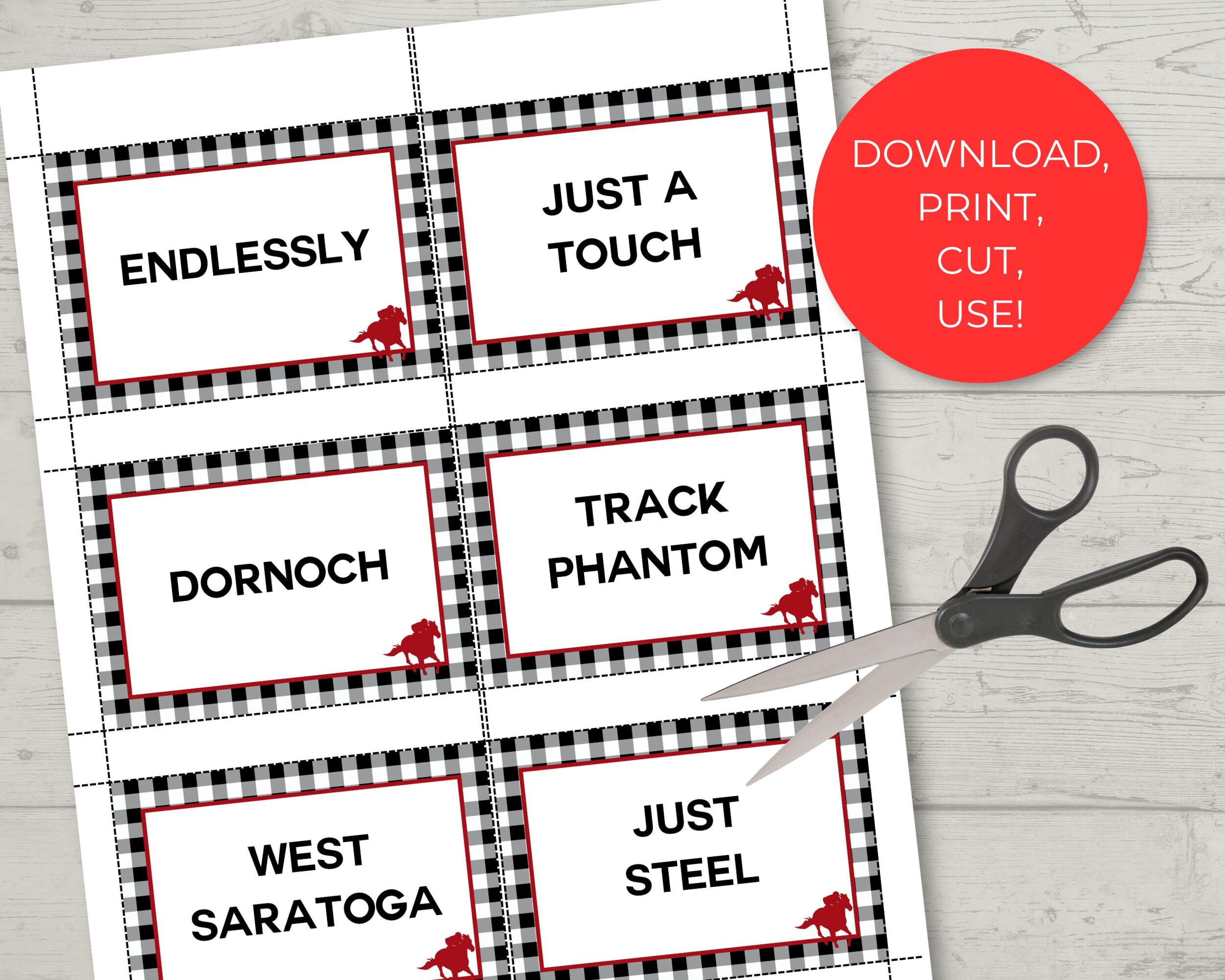 Instant Download, Printable 2024 Derby Betting Game , Hat Draw Derby ...