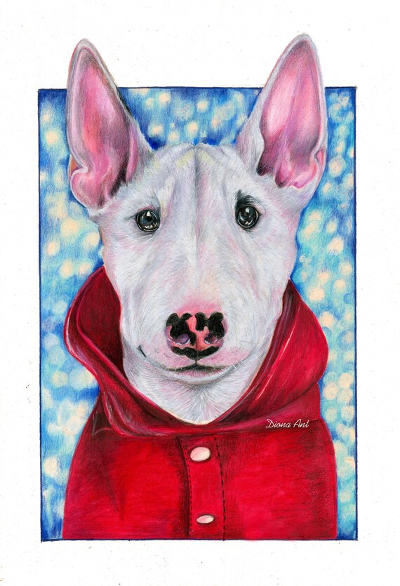 English bull terrier t-shirt pet cadeau colombie