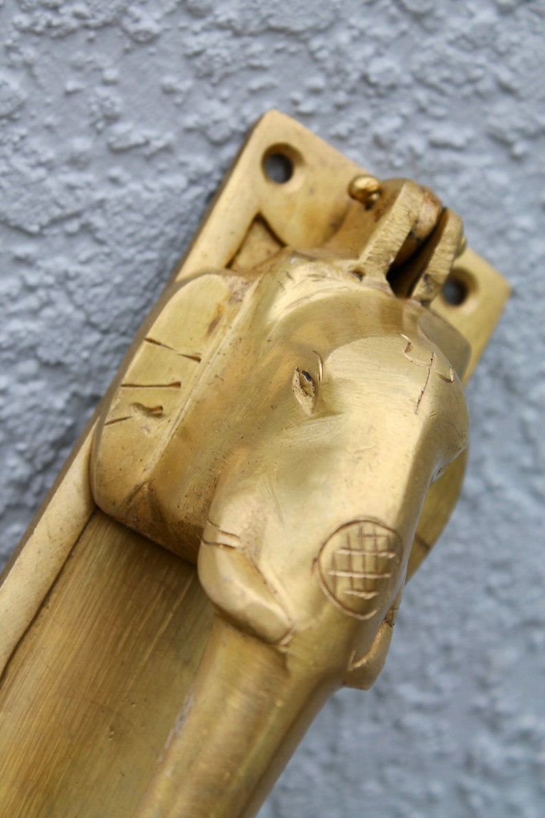 May include: A brass door handle with an elephant design. The handle is attached to a brass plate with a square shape. The elephant's head is facing forward and the trunk is curled up.