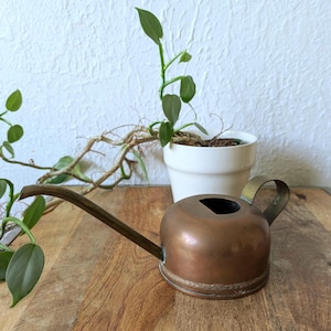 Antique Copper and Brass Watering Can / Oil Can