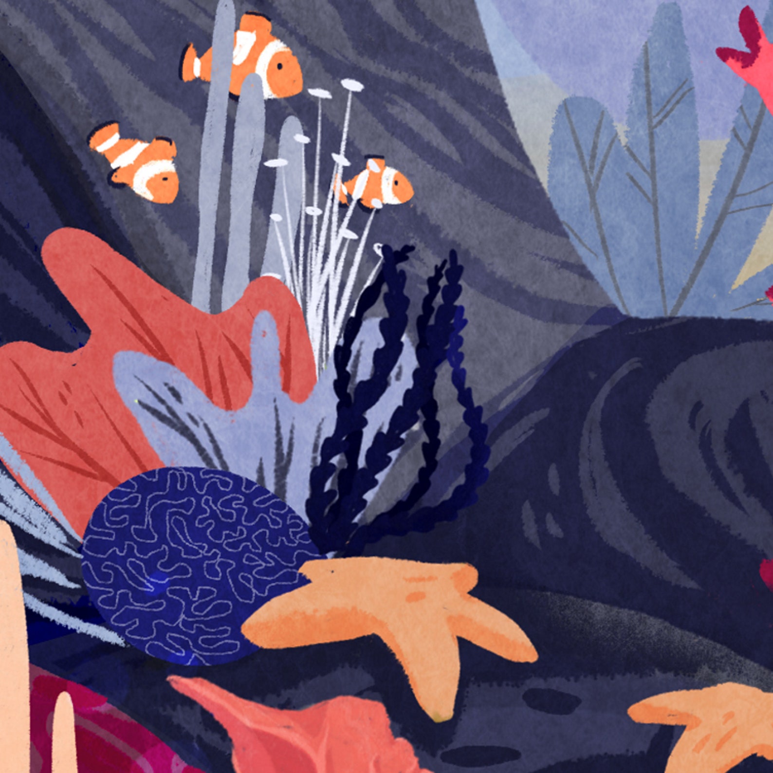 Manta Ray Blanket Ocean Fleece Throw Studio Ghibli Art - Etsy