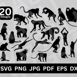 Monkey svg, Monkey svg file, Monkey clipart, Monkey cricut, Monkey Design, Monkey Illustration, Monkey silhouette, Monkey clip art, Gorilla