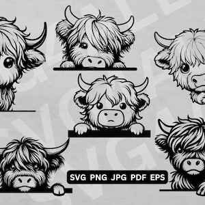 May include: Five black and white illustrations of Highland cattle peeking out from behind a blank surface. Each illustration features a different pose of the animal.