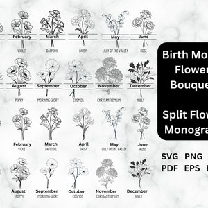 Geburtsmonat Split Blumenmonogramm SVG, Geburtsmonat Blume SVG Laser, Geburtstagsmonat Blume, Geburtstagsblumen svg, Blumenstrauß svg, Monatsblume png