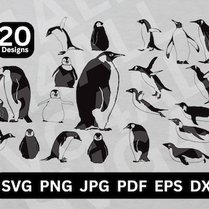 Penguins vector, penguin clipart, penguin png, cricut penguin, penguin silhouette, cute penguin, penguin svg, penguin bundle svg