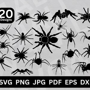 Spider SVG, spider silhouette, Spider clipart, spider web vector, cobweb svg, spiderweb svg, spider web cut file, spider svg, spider web svg